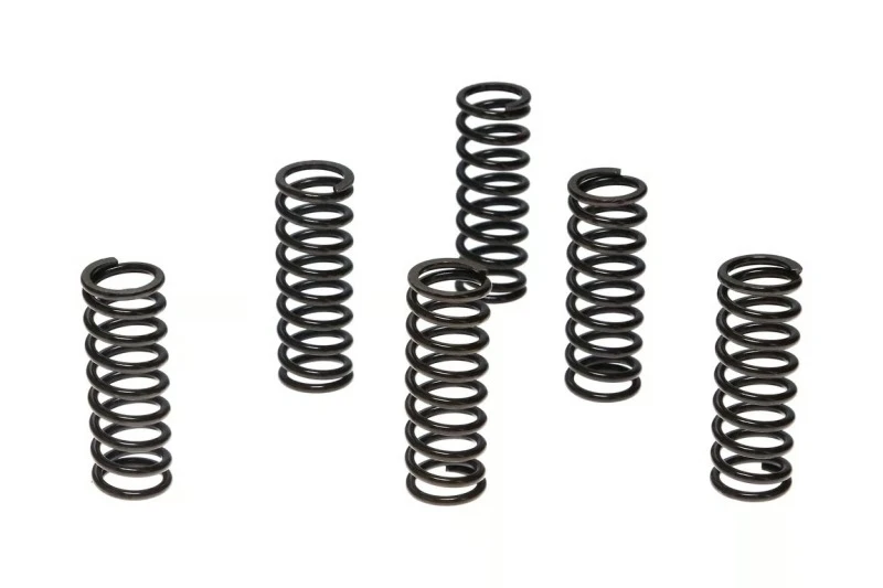 Wiseco Suzuki RM250/LT-R450 Clutch Spring Kit