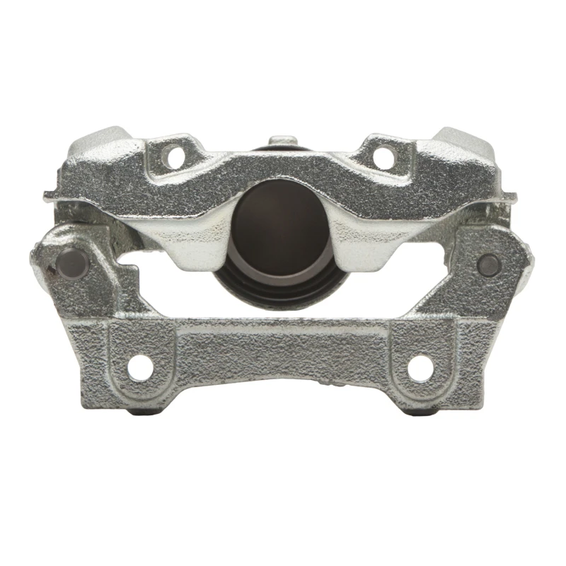 DFC 06-13 Lexus IS250 Rear-R Premium Caliper - Silver Zinc Coated