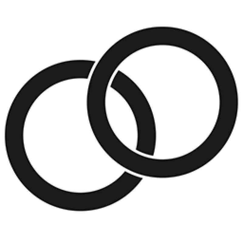 Goodridge-Ersatz-O-Ringe für HDFL001/HDFL002 (2er-Pack)