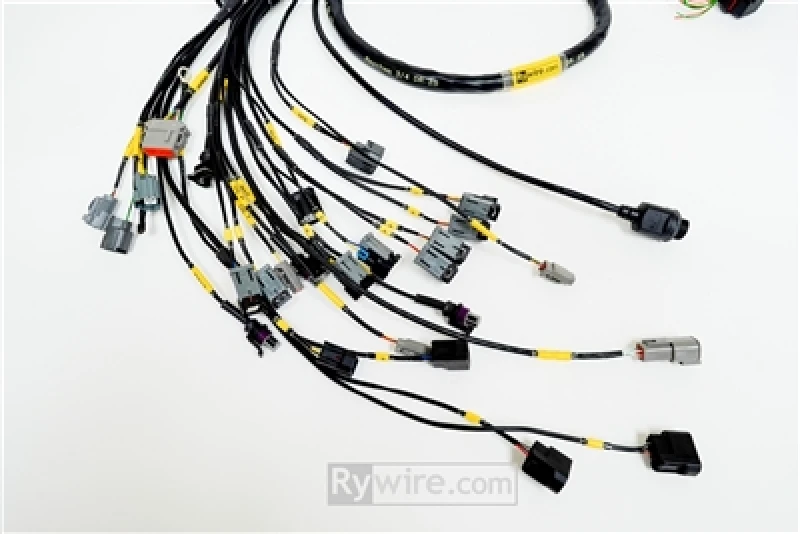 Rywire Honda B-Series (w/Syvecs SV7 ECU) Engine Harness