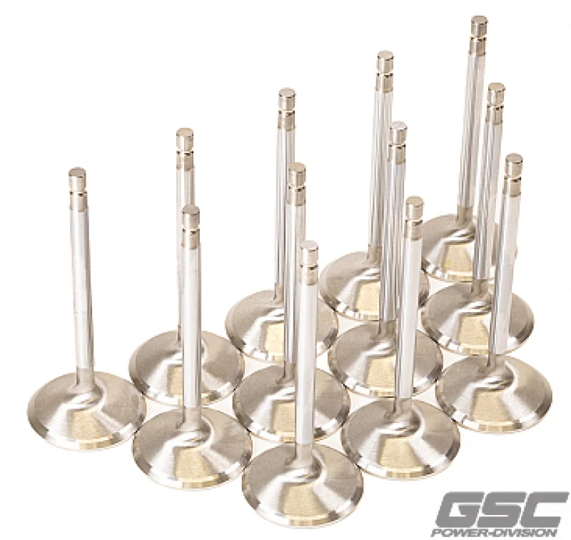 GSC Power-Division Intake Valve für Nissan VR38DETT