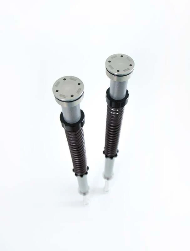 Ohlins 07-16 Harley Sportster XL NIX 22 Cust/Heritage Cartridge Kit (Incl. Springs 08428-80 / 90)