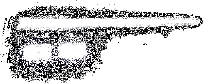 spyder_5088956-6796fc7a6196d