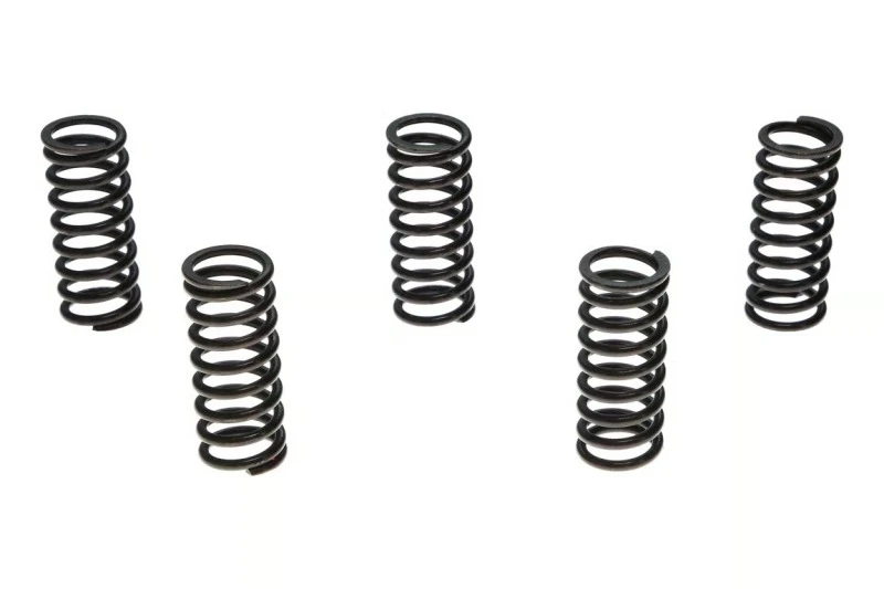 Wiseco KTM 144/150/200 Clutch Spring Kit