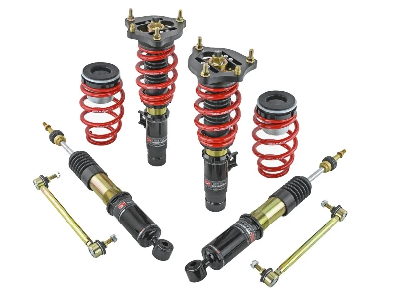 Skunk2 17-20 Honda Civic Si Pro-ST Federbeine