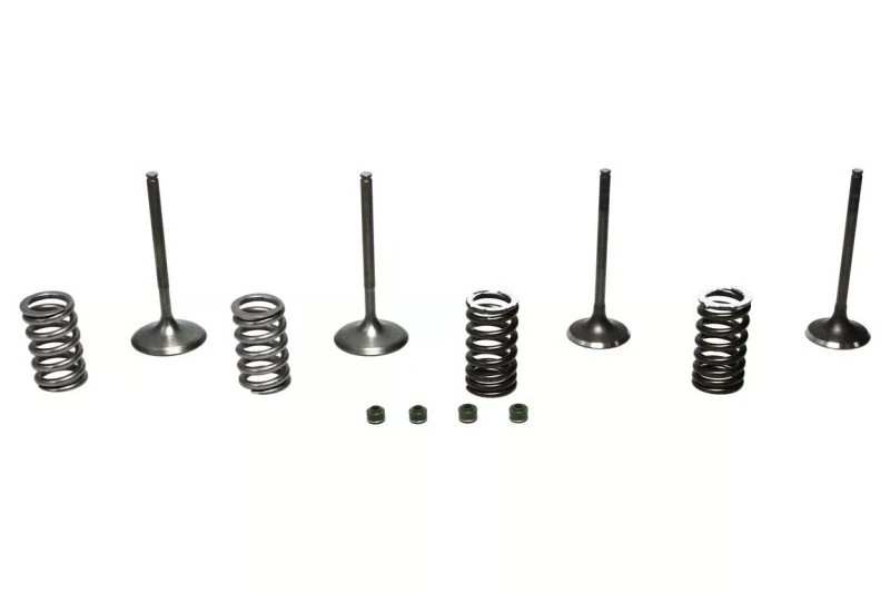 Wiseco 02-06 CRF450R Steel Valve Set