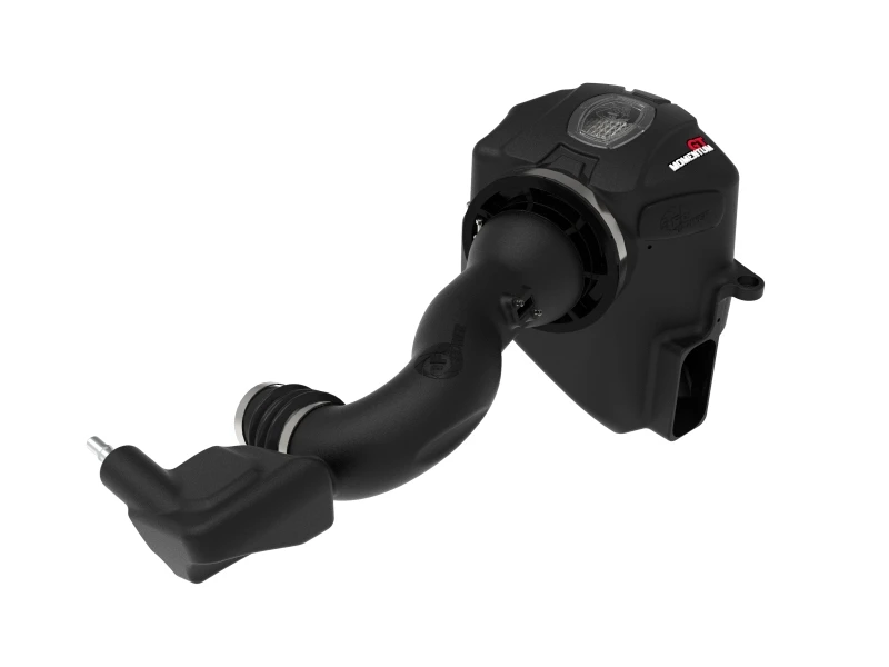 aFe Momentum GT Pro DRY S Kaltluft-Ansaugsystem 19-21 GM Truck 4.3L V6