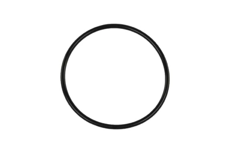 Turbosmart BOV-Race-Port-Flansch-O-Ring