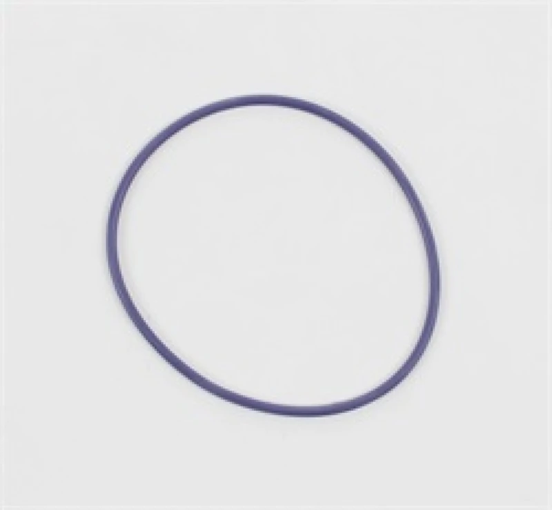 cometic-gasket_C5190-67930c5557aaf Cometic 96-04 Ford 4.6L SOHC/DOHC Wasserpumpen-O-Ring