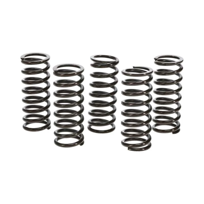 Wiseco Kupplungsfeder-Kit Honda TRX400EX/X99-14 Kupplungskorb