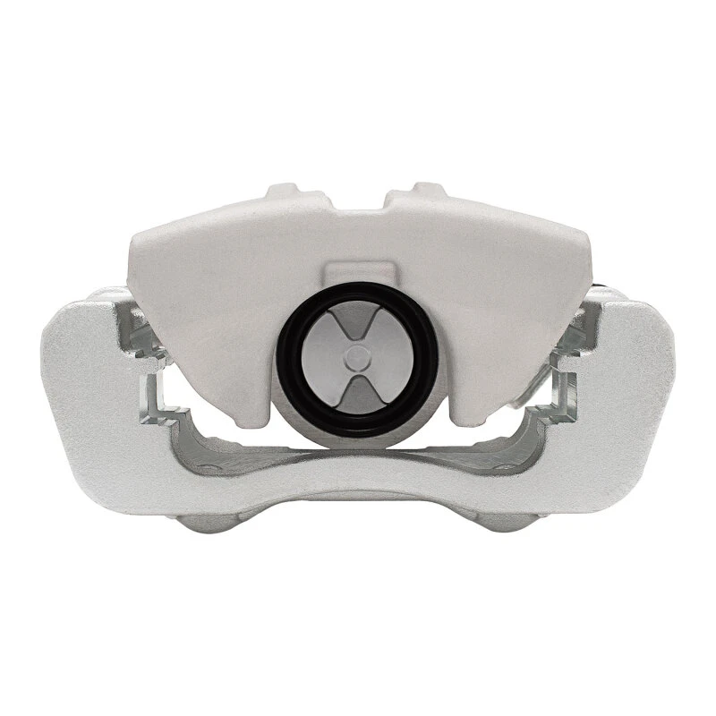 DFC 15-19 Ford Mustang Rear-R Silver Zinc Coated Premium Caliper