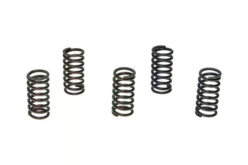 Wiseco CR125R/KTM125SX Clutch Spring Kit