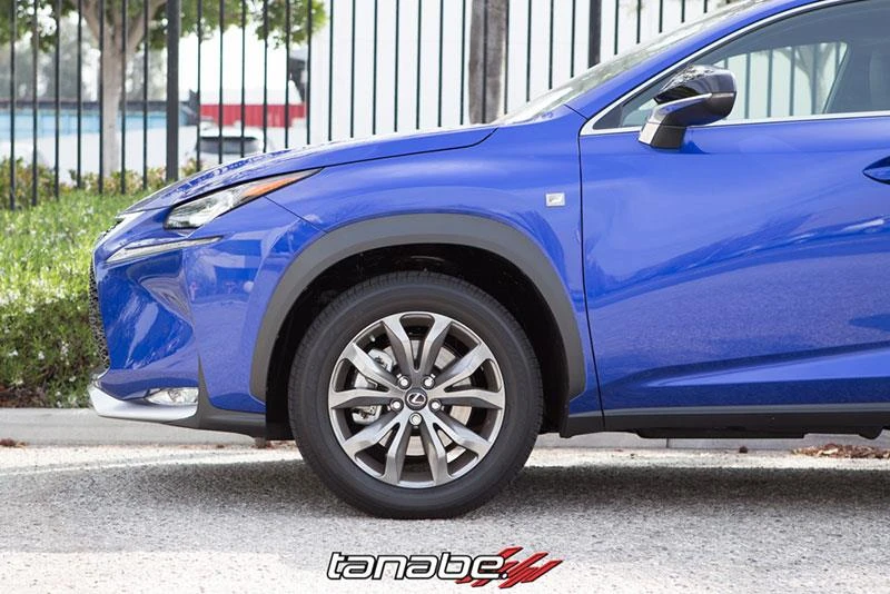 tanabe_TNF196_6799738740e8d