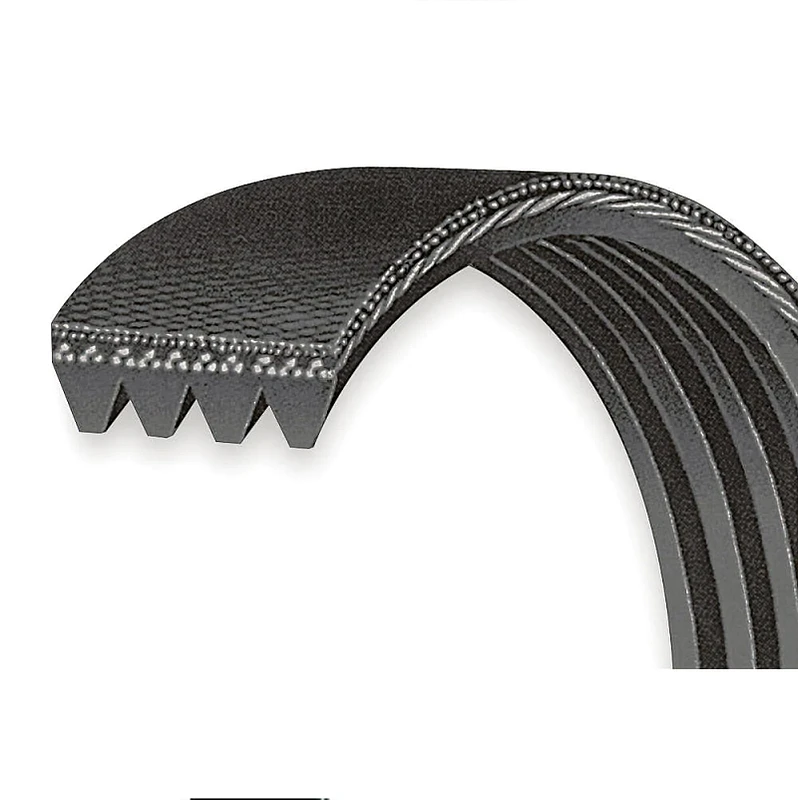 VMP Performance Belt 4-Rib Accessory for 5.0/5.2L w/ ATI Balancer