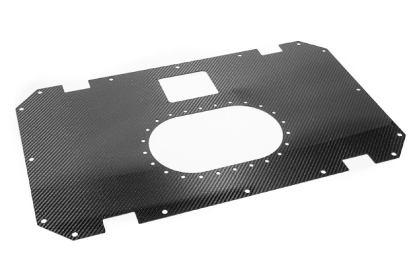 Radium Engineering Carbon-Faser-Treibstoffzellen-Deckel - 10/14 Gallonen