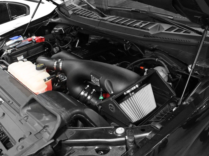 aFe MagnumFORCE Pro DRY S Stage-2 Ansaugsystem 16 Ford F-150 EcoBoost V6-2.7L/3.5L (tt)