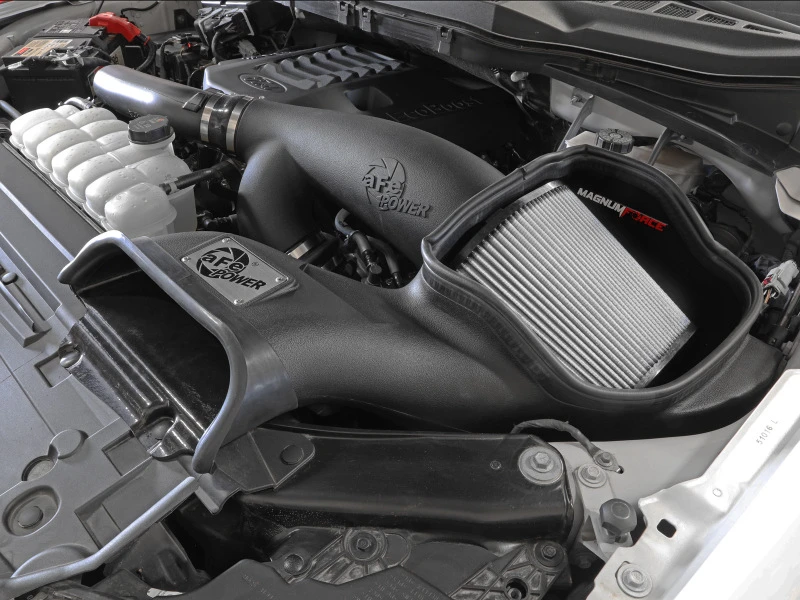 aFe MagnumFORCE Einlass Stage-2 Pro DRY S 2021 Ford F-150 V6-3.5L (tt)