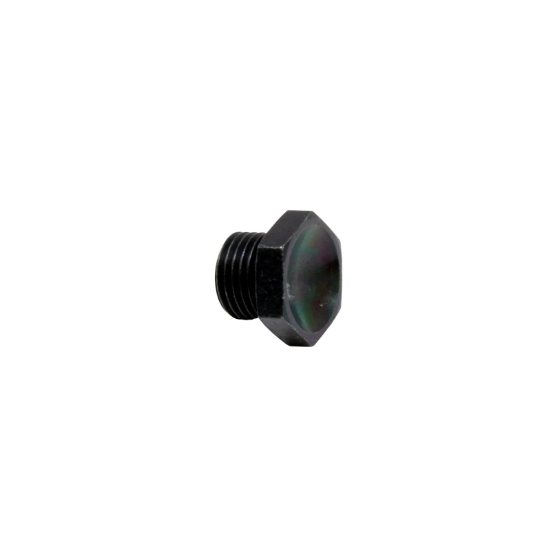 AEM High Volume Fuel Rail Port Plug