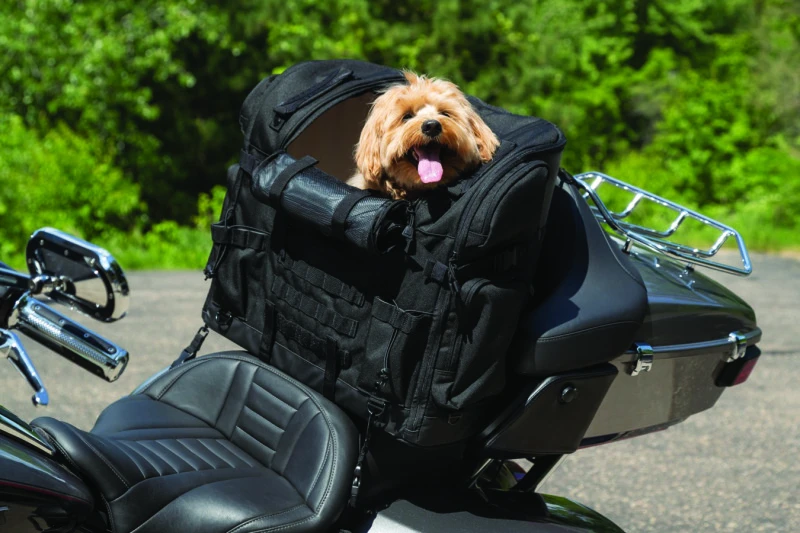 Kuryakyn Pet Palace Titan Motorrad-Hundetransportbox