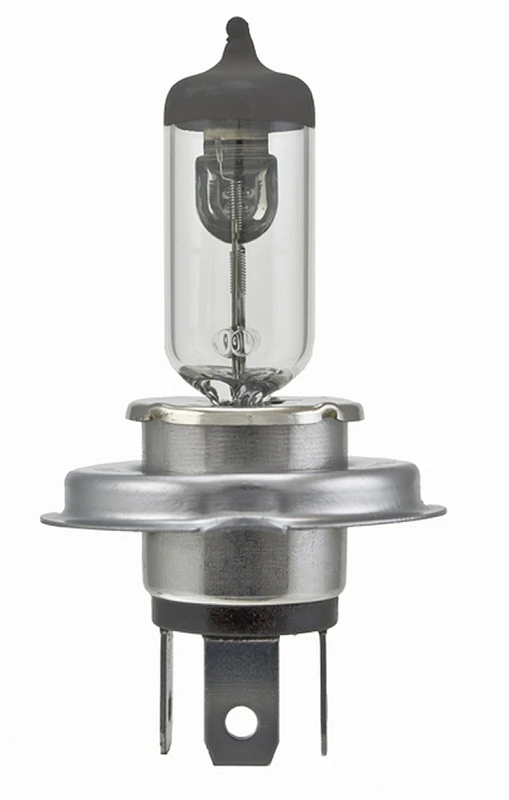 Hella Glühbirne 9003/Hb2 12V 60/55W P43T T46 (2)