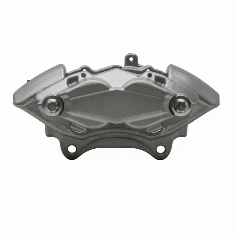 DFC 07-12 Mercedes-Benz E550 Front-L Silver Powder Coated Premium Caliper