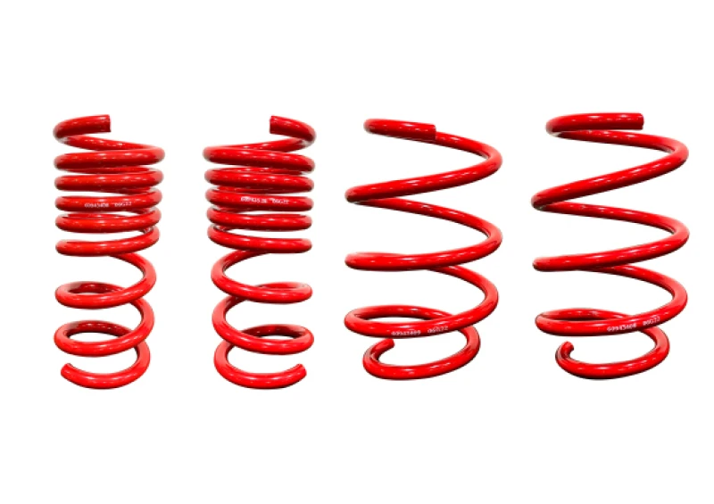 Roush 18-24 Ford Mustang GT mit MagneRide Tieferlegungsfedern - Set aus 4