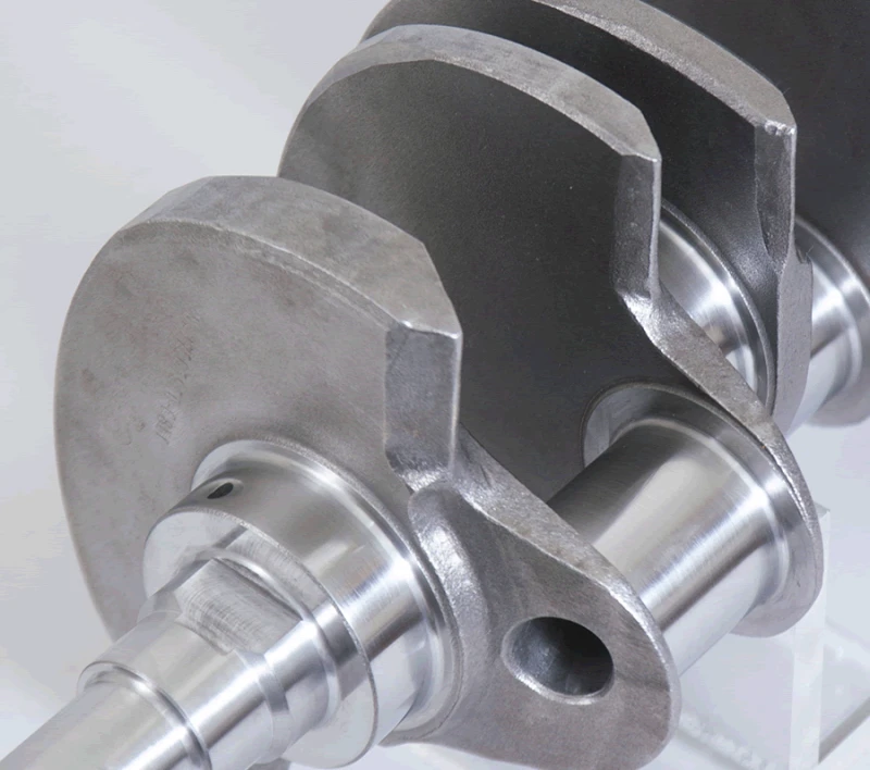 eagle_102813750-67931eb3c986d