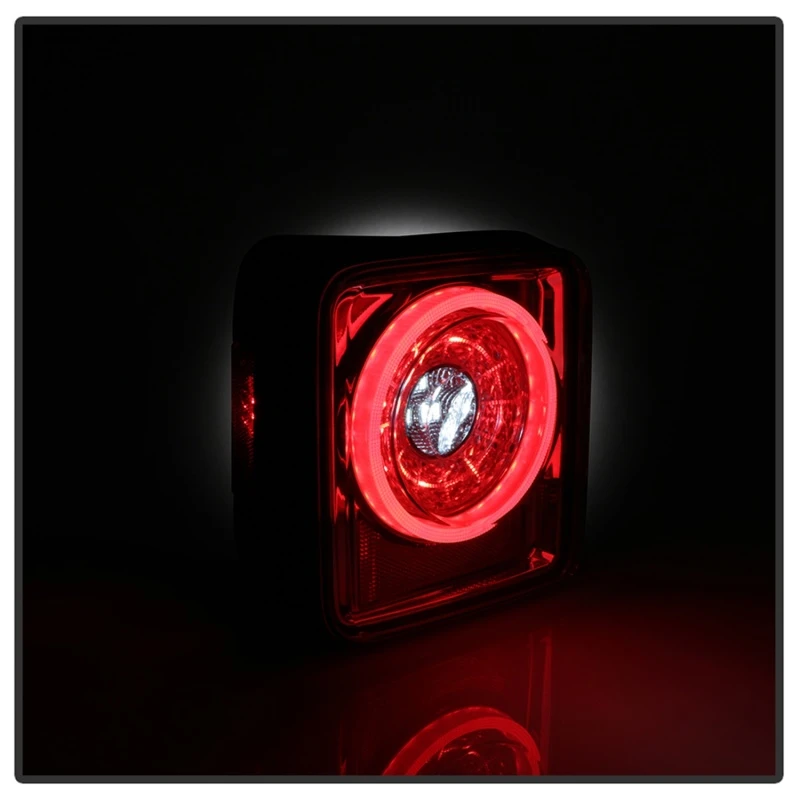 spyder_5086167-6794bd8538d0c