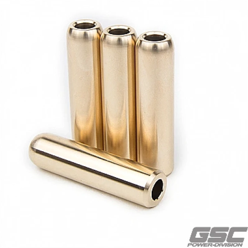 GSC Power Division Ventilführungen für Ford Mustang 5.0L Coyote