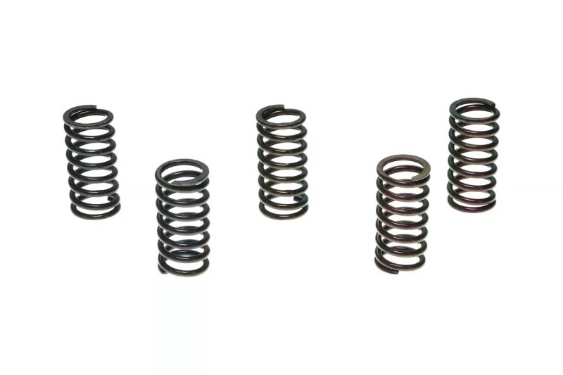Wiseco CR125R/KTM125SX Clutch Spring Kit