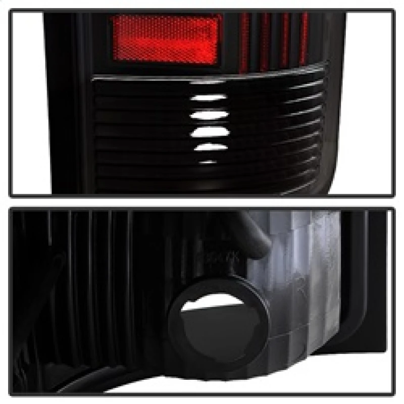 spyder_5081551-6794ce752dd51