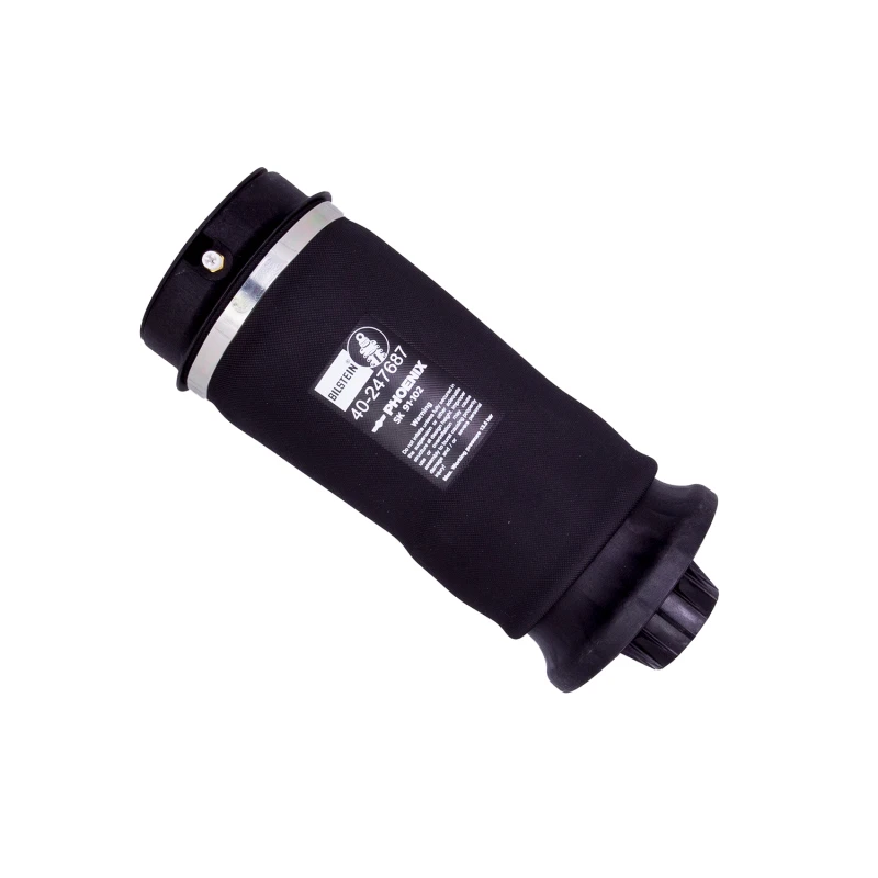 Bilstein B3 OE-Ersatz 13-15 Mercedes-Benz GL63 AMG Hintere Luftfederung Feder
