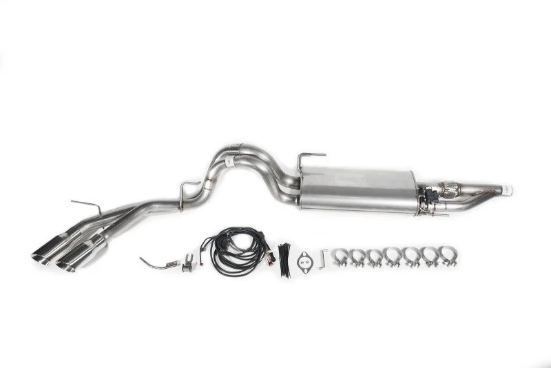 Roush 2015-2020 Ford F-150 2,7L/3,3L/3,5L/5,0L aktives Cat-Back-Auspuff-Kit (ausgenommen Raptor & Short Cab)