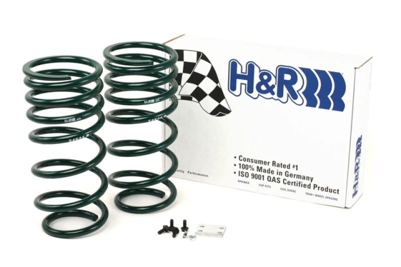 H&R 90-95 Toyota 4 Runner (2WD/4WD) Adventure Federbein (verstellbar)