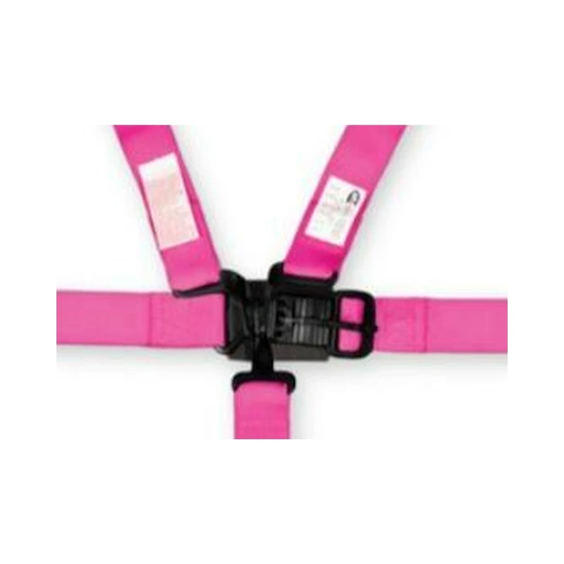RaceQuip Rosa JR. L & L 5-Punkt-Gurt