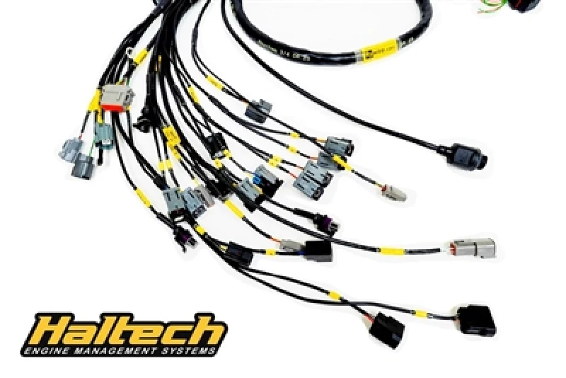 Rywire Honda K-Series (w/Haltech Elite 1500+) Engine Harness