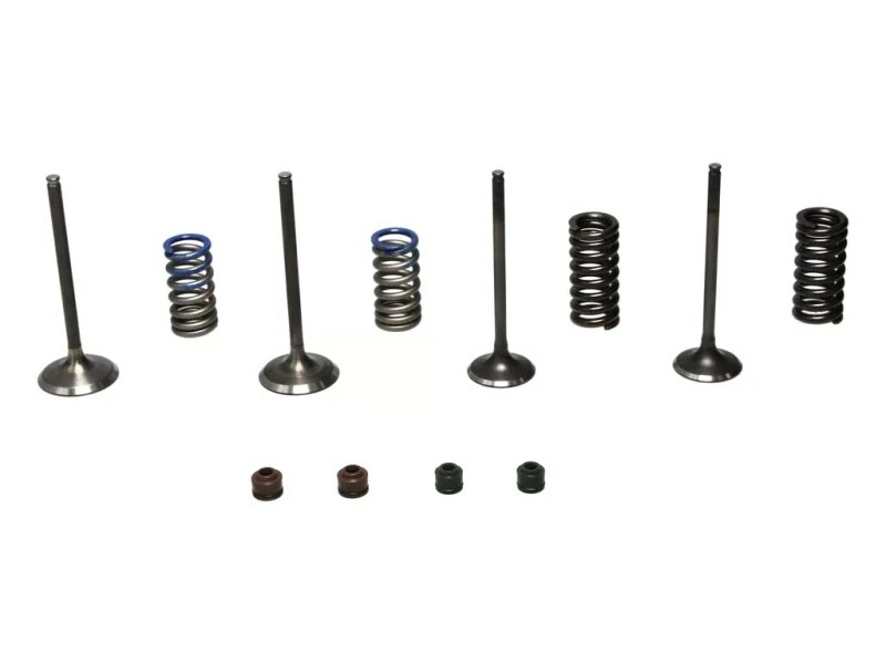 Wiseco 08-09 CRF250R Steel Valve Set