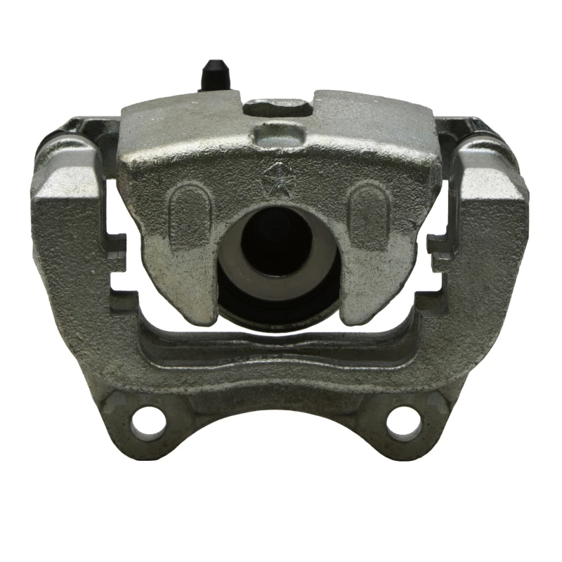 DFC 14-19 Dodge Charger Rear-R Premium Caliper - Silver Zinc Coated