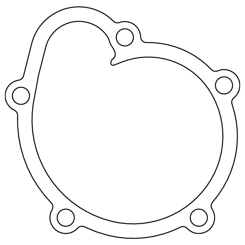 Cometic Nissan E13/E15/E16.031in Fiber Water Pump Gasket