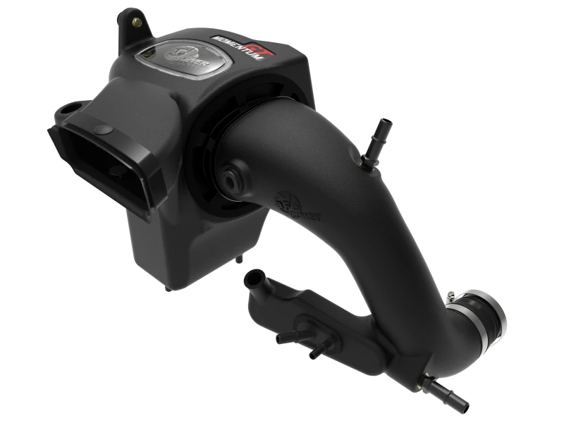 Momentum GT Cold Air Intake System with Pro DRY S Filter