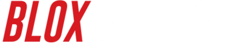 BLOX Racing 2020+ Tesla Model Y (10kg/mm Springs) Plus Series Pro Adjustable Front Coilovers Only