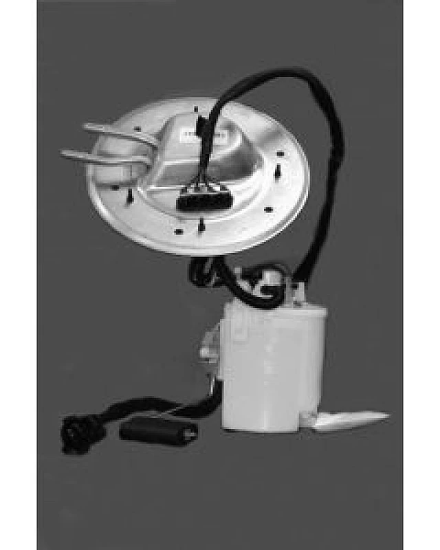 Walbro Tank-Einheit-Montage