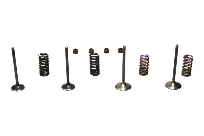 Wiseco 04-07 CRF250R Steel Valve Set