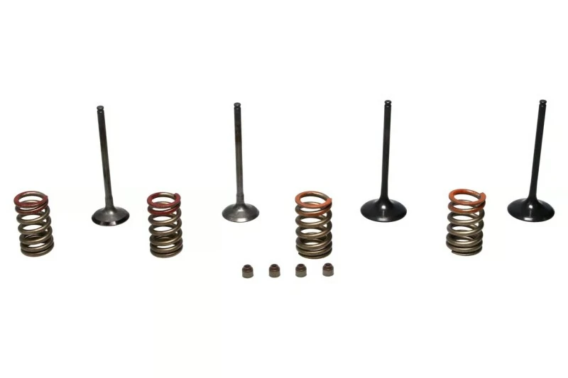 S&S Cycle 11-16 KX250F Steel Valve Set