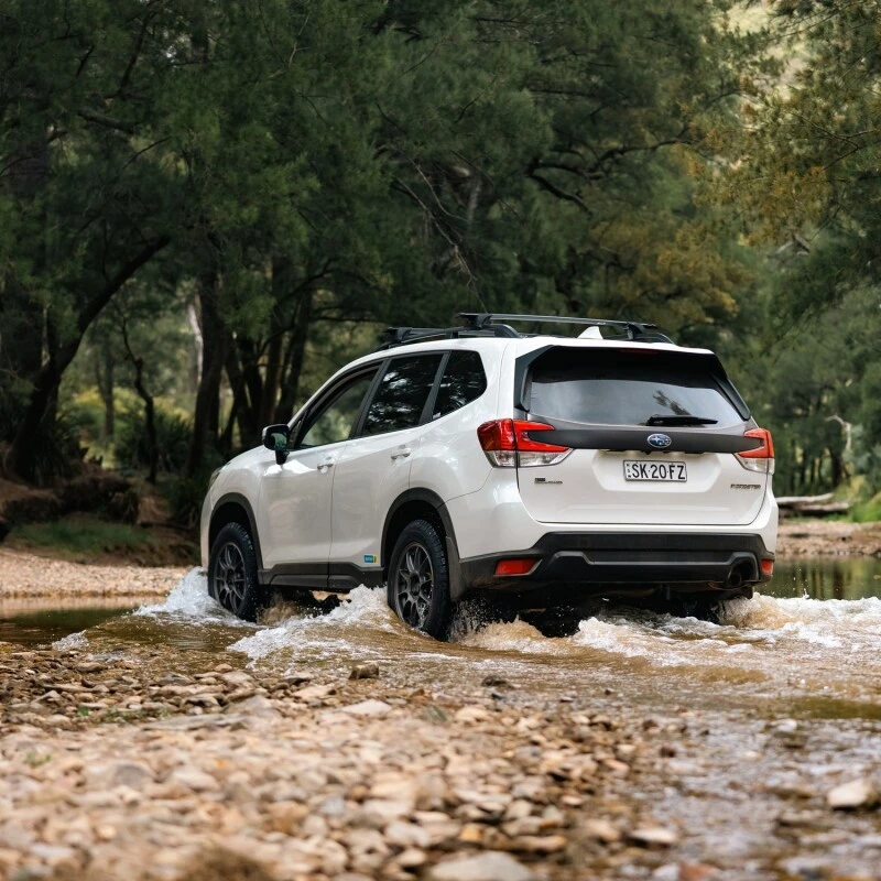 Bilstein B8 TerraSport Stoßdämpfer hinten für 2019–2024 Subaru Forester