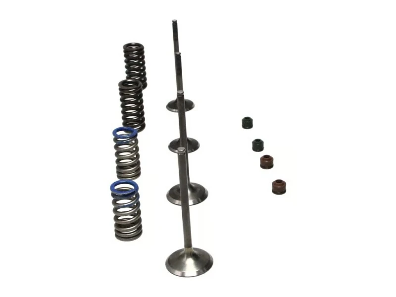 Wiseco 08-09 CRF250R Steel Valve Set