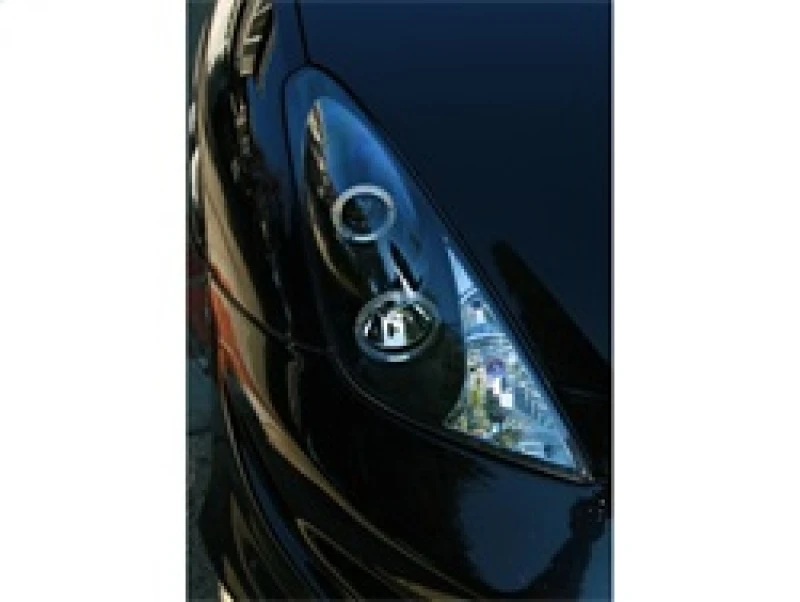 spyder_5011848-6794d37c1956c