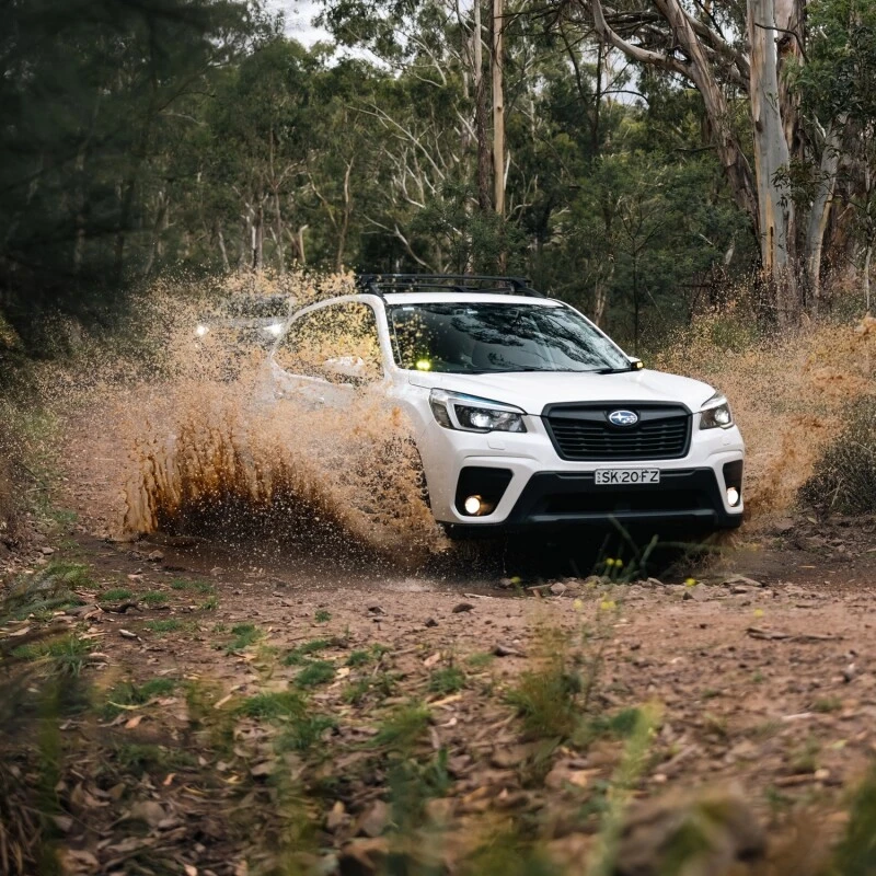 Bilstein B8 TerraSport Stoßdämpfer hinten für 2019–2024 Subaru Forester