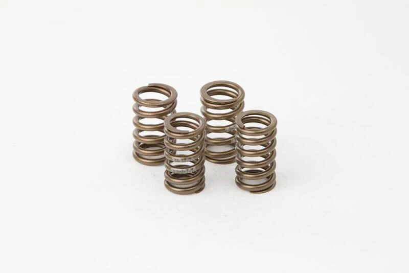 Hot Cams Ventilfeder-Kit