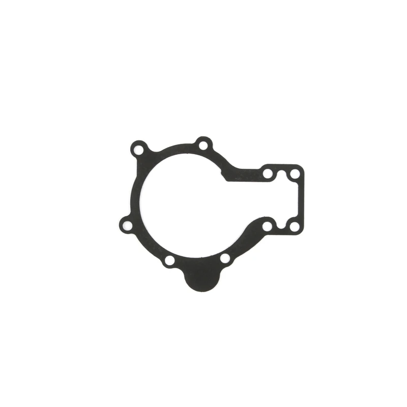 cometic-gasket_C4903-018-67960d74571ac Cometic 70-87 Jaguar XK6.018 Zoll AFM Wasserpumpendichtung